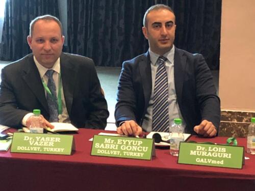 eyup-sabri-goncu-dollvet